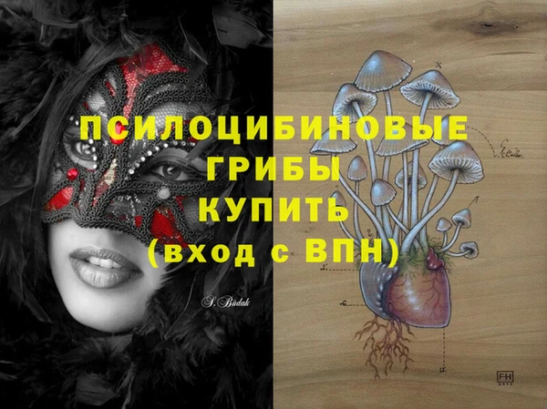 эйфоретик Кодинск
